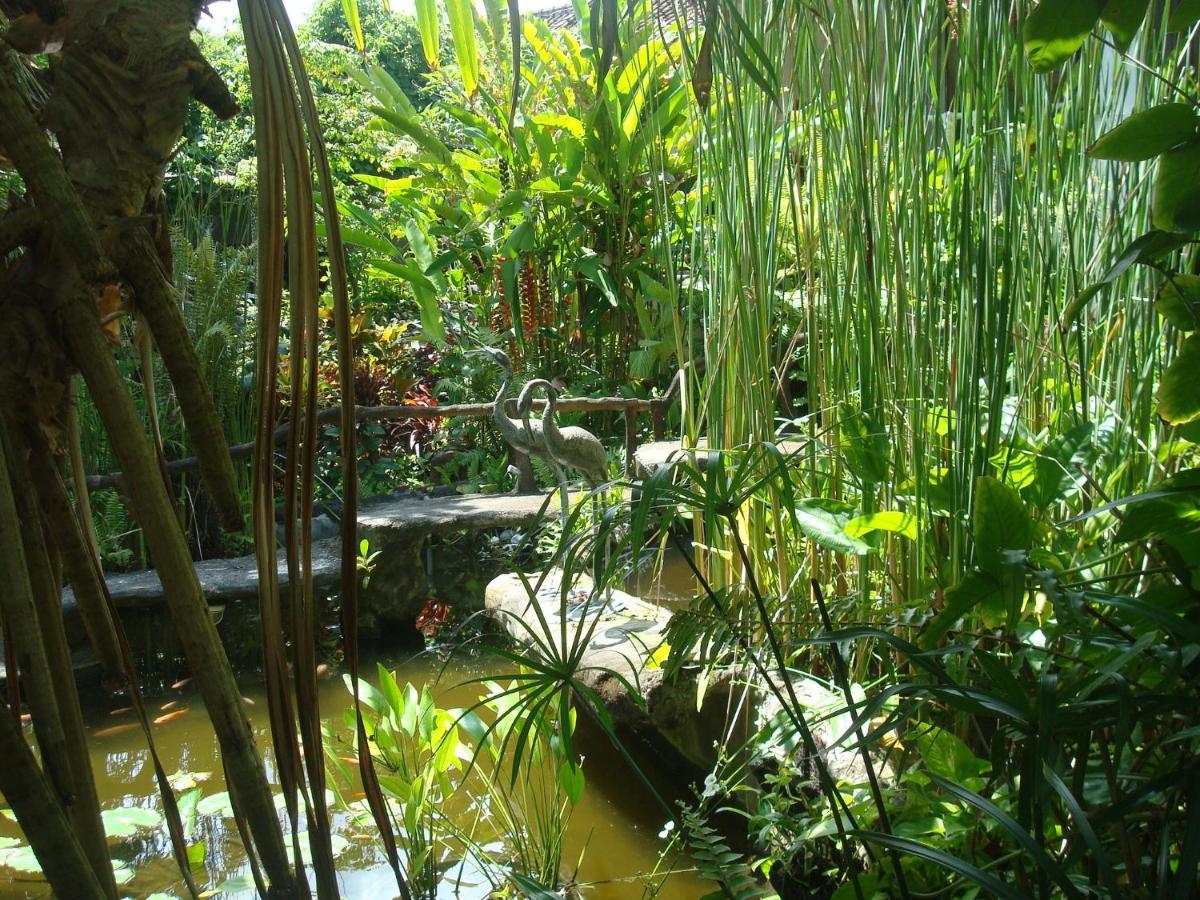 Villa Arjuna Seraya Luaran gambar